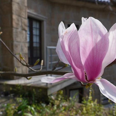 Maison d'hôtes Alvores Do Tempo - Quinta De Turismo Rural à Castro Daire Extérieur photo