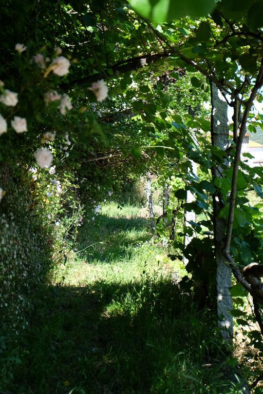 Maison d'hôtes Alvores Do Tempo - Quinta De Turismo Rural à Castro Daire Extérieur photo