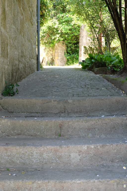 Maison d'hôtes Alvores Do Tempo - Quinta De Turismo Rural à Castro Daire Extérieur photo