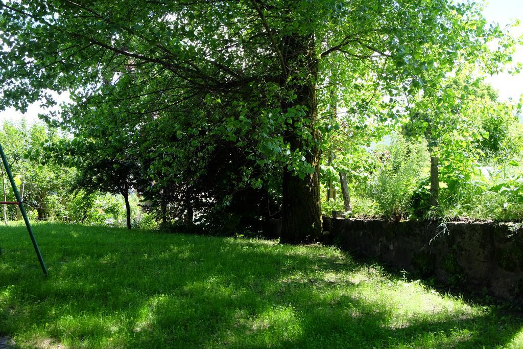 Maison d'hôtes Alvores Do Tempo - Quinta De Turismo Rural à Castro Daire Extérieur photo