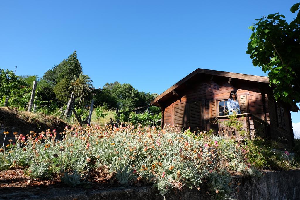 Maison d'hôtes Alvores Do Tempo - Quinta De Turismo Rural à Castro Daire Extérieur photo