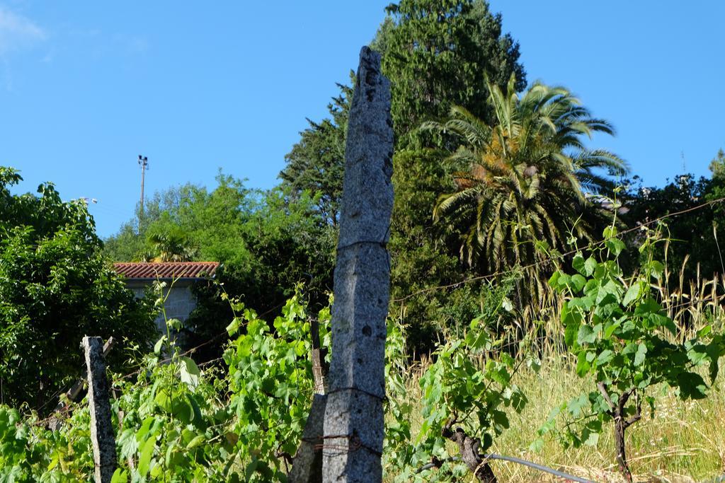 Maison d'hôtes Alvores Do Tempo - Quinta De Turismo Rural à Castro Daire Extérieur photo