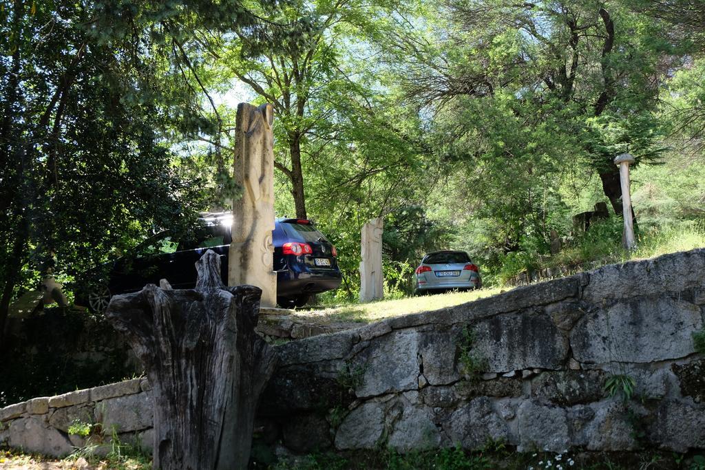 Maison d'hôtes Alvores Do Tempo - Quinta De Turismo Rural à Castro Daire Extérieur photo