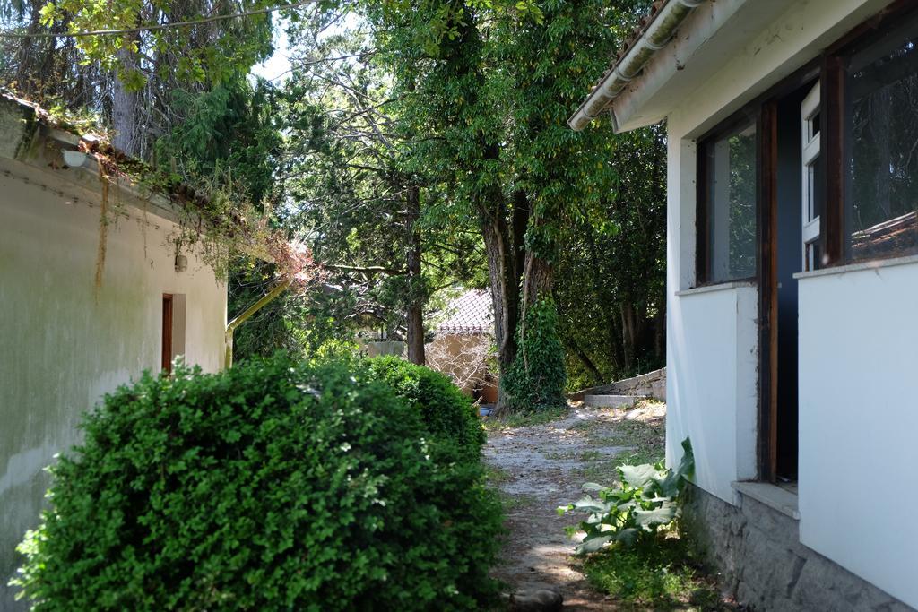 Maison d'hôtes Alvores Do Tempo - Quinta De Turismo Rural à Castro Daire Extérieur photo