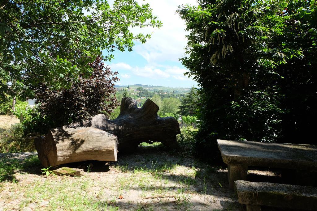 Maison d'hôtes Alvores Do Tempo - Quinta De Turismo Rural à Castro Daire Extérieur photo