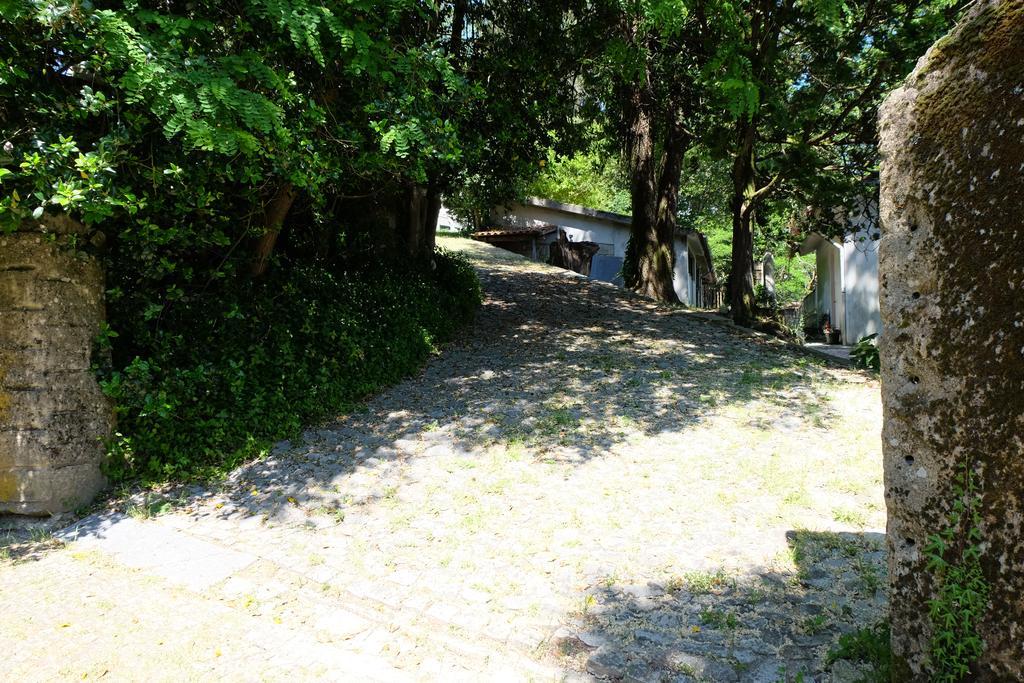 Maison d'hôtes Alvores Do Tempo - Quinta De Turismo Rural à Castro Daire Extérieur photo