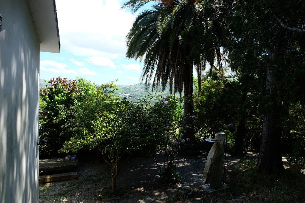 Maison d'hôtes Alvores Do Tempo - Quinta De Turismo Rural à Castro Daire Extérieur photo