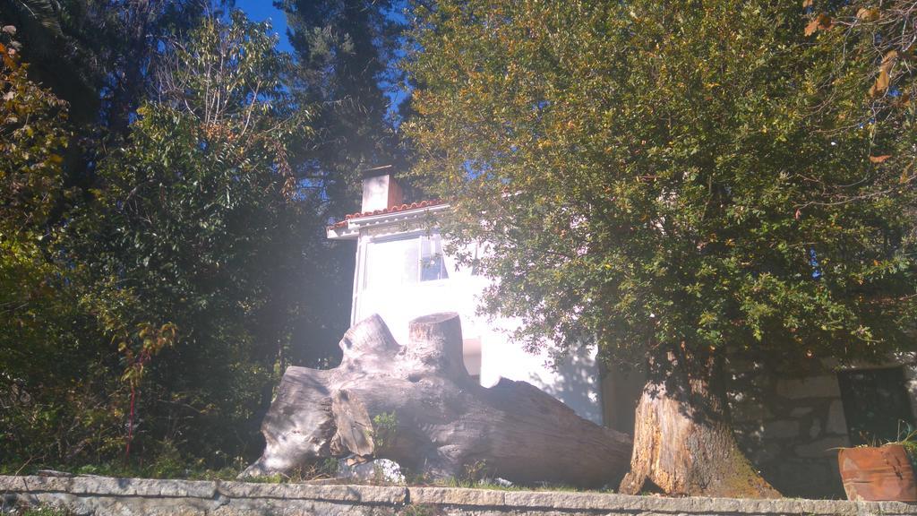 Maison d'hôtes Alvores Do Tempo - Quinta De Turismo Rural à Castro Daire Extérieur photo