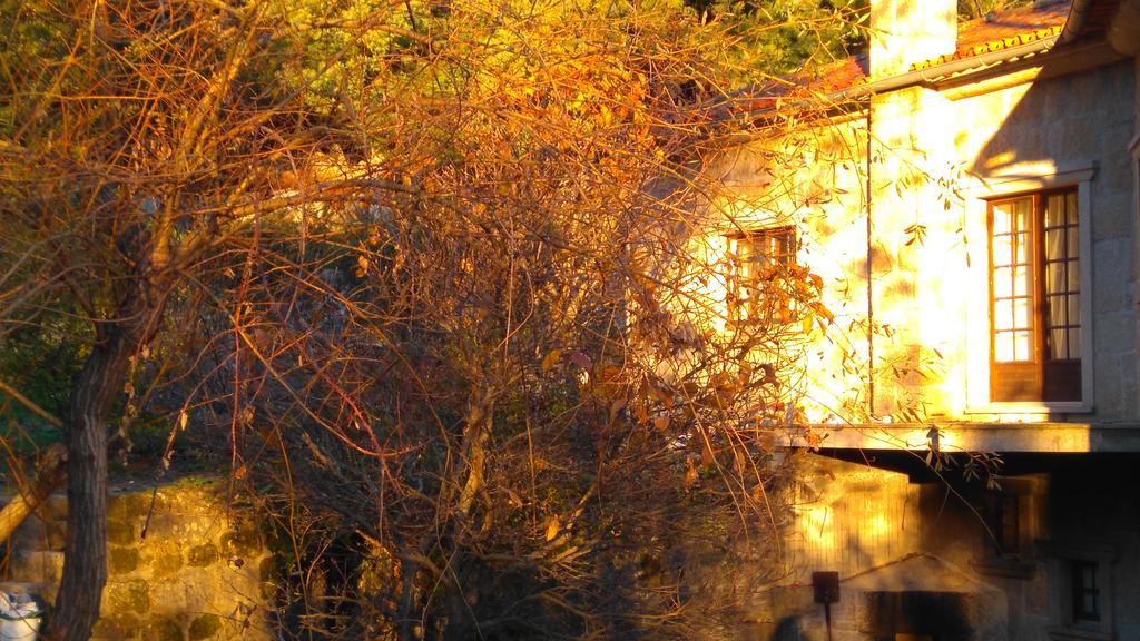 Maison d'hôtes Alvores Do Tempo - Quinta De Turismo Rural à Castro Daire Extérieur photo