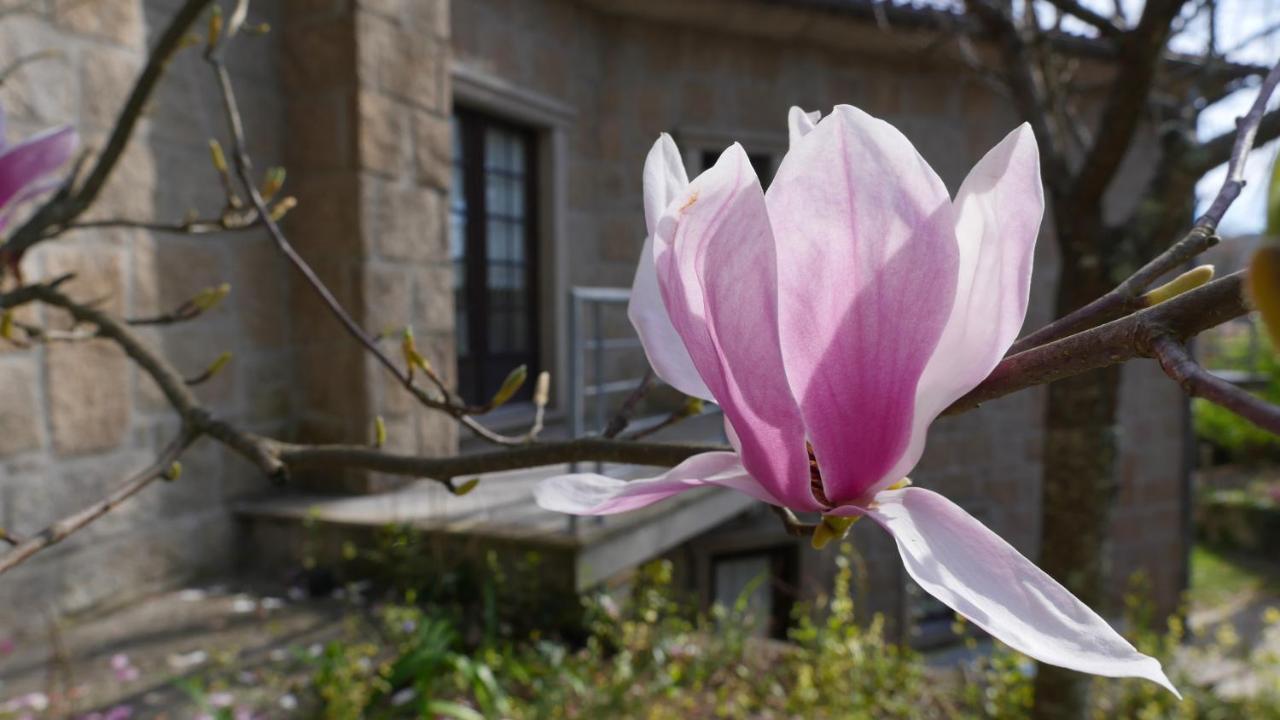 Maison d'hôtes Alvores Do Tempo - Quinta De Turismo Rural à Castro Daire Extérieur photo